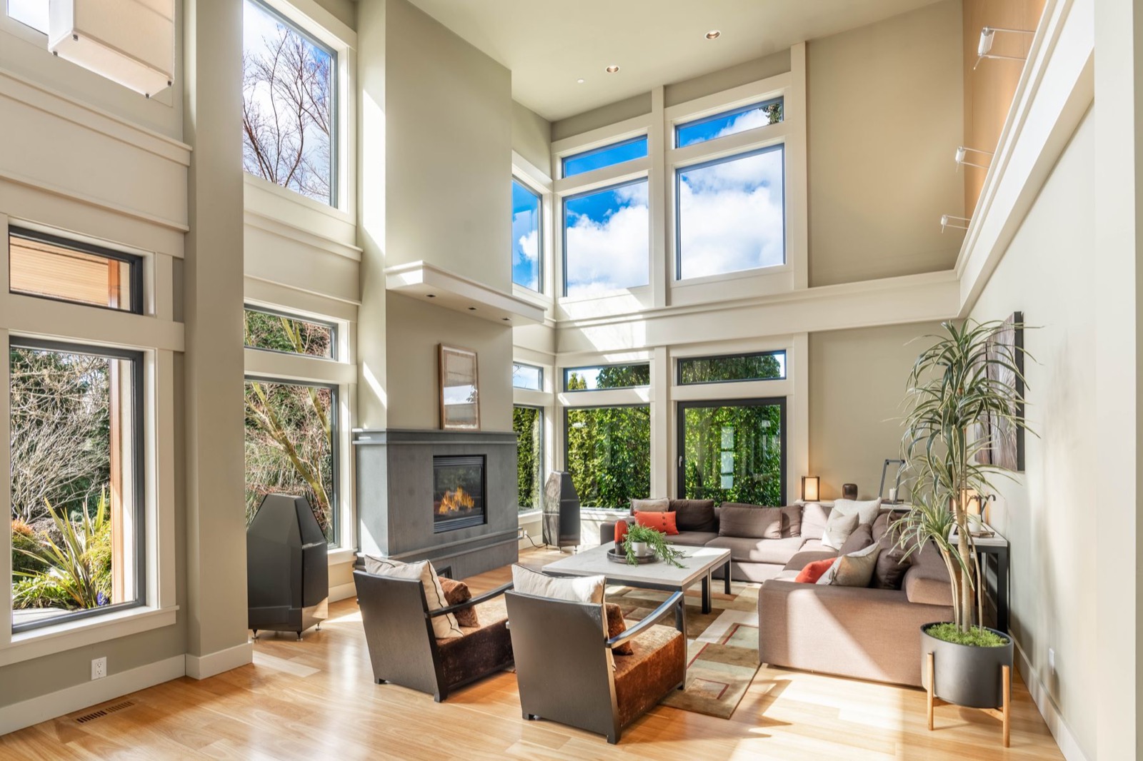A bright, welcoming living room